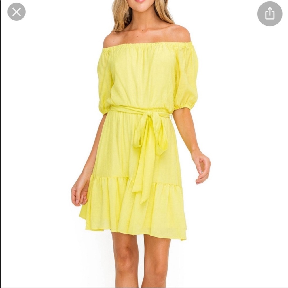 All in Favor Dress